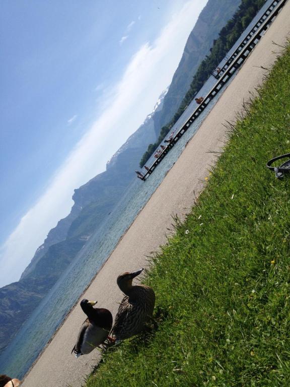 Altmünster Apartment Parkvilla Traunsee المظهر الخارجي الصورة