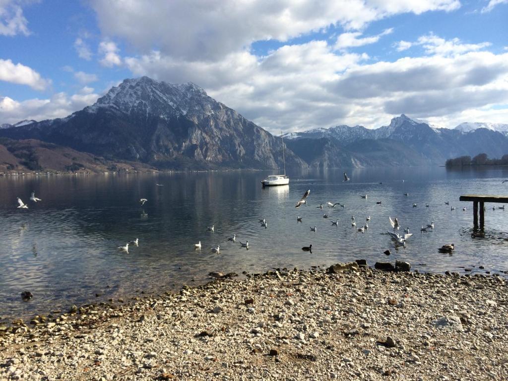 Altmünster Apartment Parkvilla Traunsee المظهر الخارجي الصورة