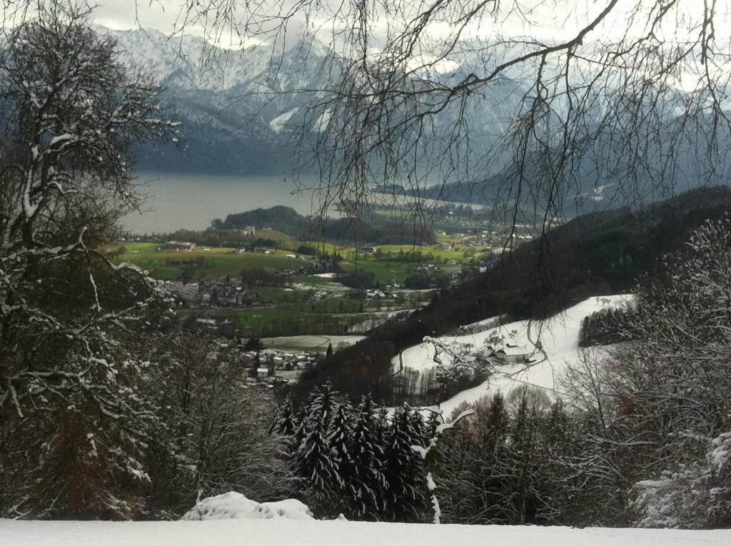 Altmünster Apartment Parkvilla Traunsee المظهر الخارجي الصورة
